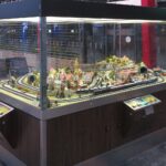 Kompakte Modellbahnanlage in einer Glasvitrine