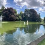 Mehrere ferngesteuerte Segelboote auf einem Teich